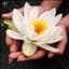 Sadhana